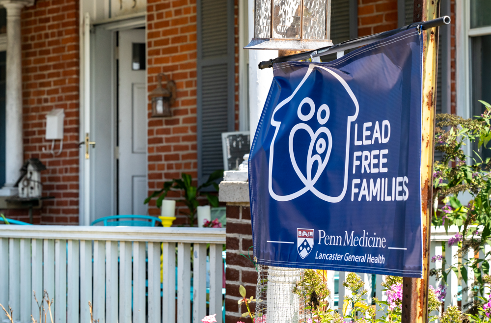 lead free families